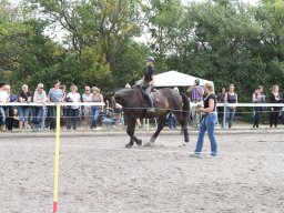 IMG_1372_web